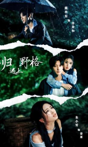 短剧《当归遇上野格》海报