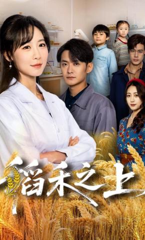 短剧稻禾之上海报