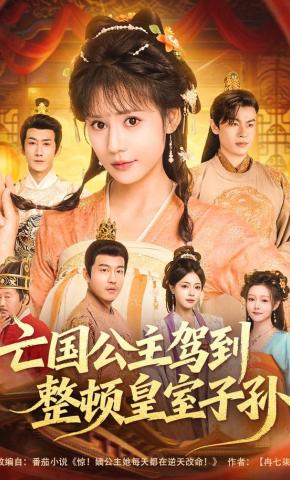 短剧《亡国公主驾到，整顿皇室子孙》海报