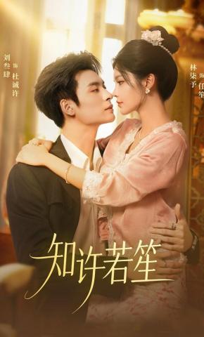短剧《知许若笙》海报