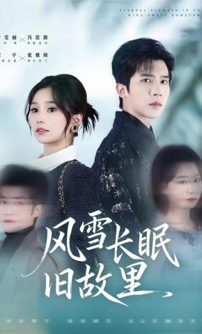 短剧风雪长眠旧故里海报