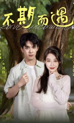 短剧《不期而遇》海报