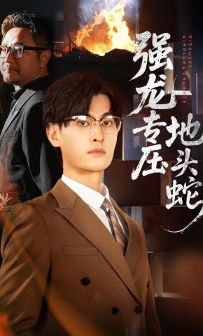 短剧《强龙专压地头蛇》海报