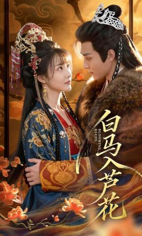 短剧《白马入芦花》海报