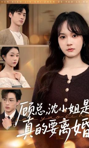 短剧顾总，沈小姐是真的要离婚海报