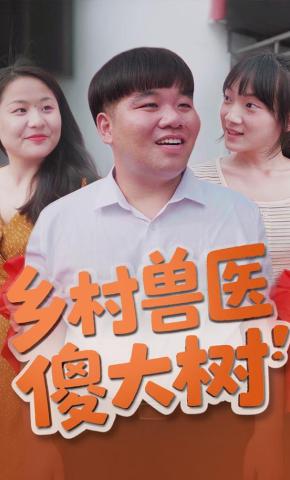 短剧《乡村兽医傻大树》海报