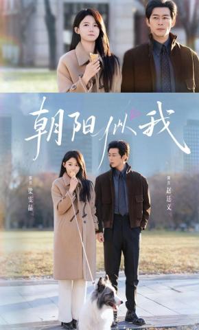 短剧朝阳似我海报