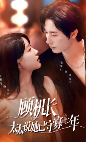 短剧《顾机长，太太说她已守寡三年》海报