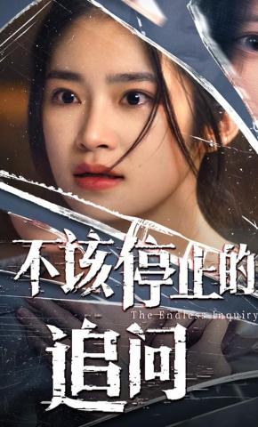 短剧不该停止的追问海报