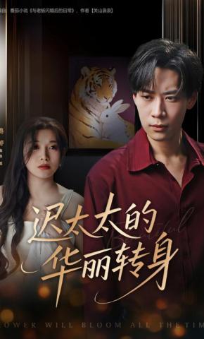 短剧《迟太太的华丽转身》海报