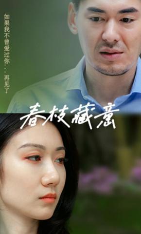 短剧《春枝藏意》海报