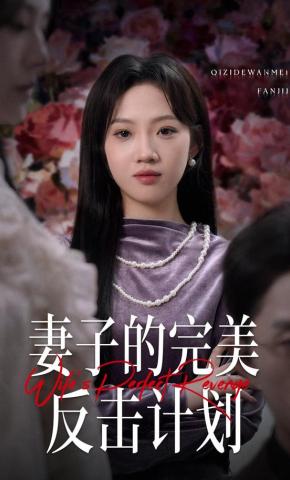 短剧《妻子的完美反击计划》海报
