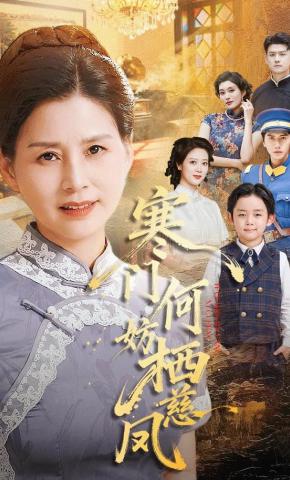 短剧《寒门何妨栖慈凤》海报