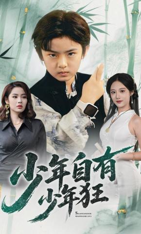 短剧少年自有少年狂海报