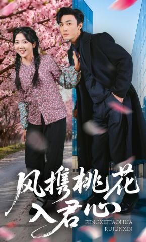 短剧风携桃花入君心海报