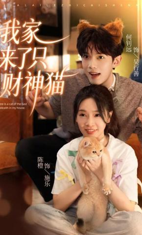 短剧我家来了只财神猫海报