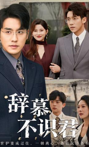 短剧《辞慕不识君》海报