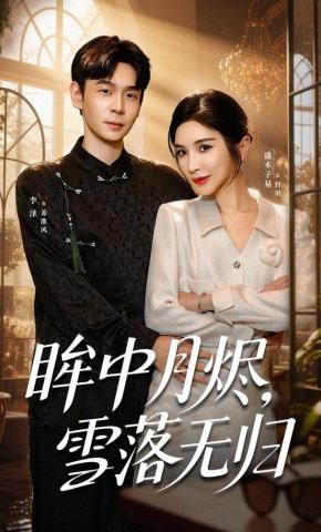 短剧《眸中月烬，雪落无归》海报