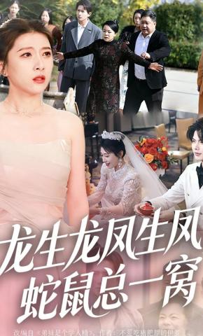 短剧《龙生龙凤生凤，蛇鼠总一窝》海报