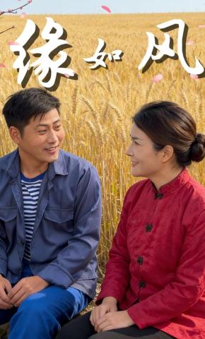 短剧《缘如风》海报