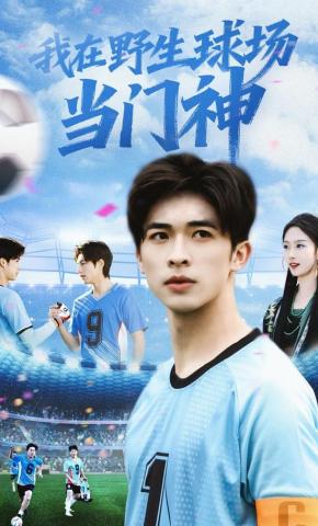 短剧《我在野生球场当门神》海报