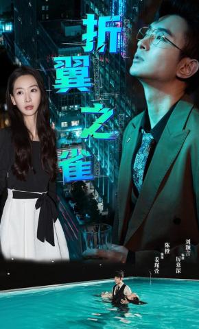 短剧《折翼之雀》海报