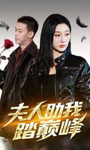 短剧夫人助我踏巅峰海报