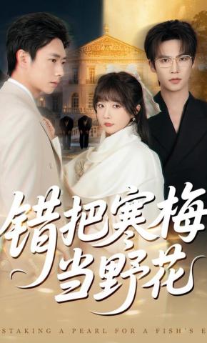 短剧《错把寒梅当野花》海报