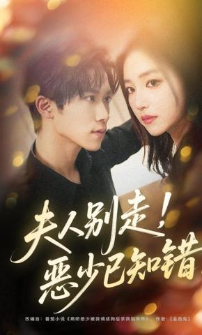 短剧《夫人别走，恶少已知错》海报