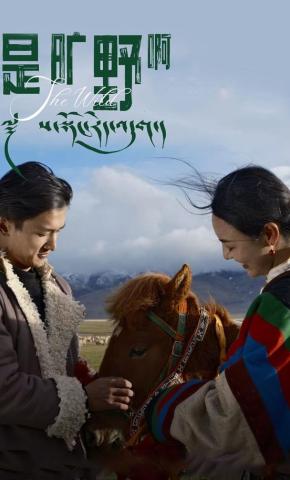 短剧《是旷野啊》海报