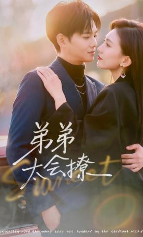 短剧《弟弟太会撩》海报