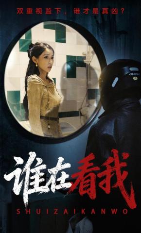 短剧《谁在看我》海报