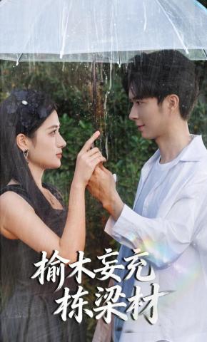 短剧《榆木妄充栋梁材》海报