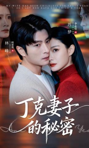 短剧《丁克妻子的秘密》海报