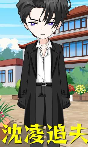 短剧《沈凌追夫》海报