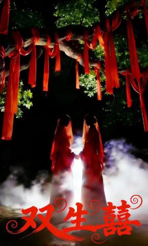 短剧双生囍海报