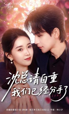 短剧《沈总请自重我们已经分手了》海报