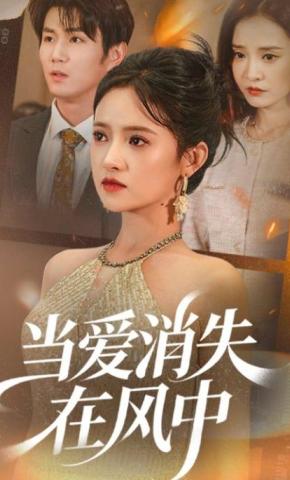 短剧《当爱消失在风中》海报