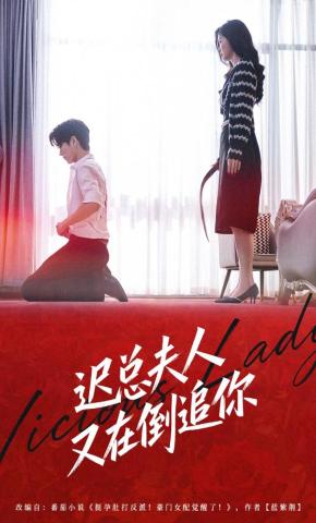 短剧《迟总夫人又在倒追你》海报