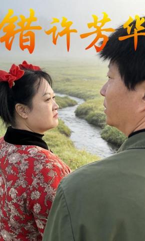 短剧错许芳华海报