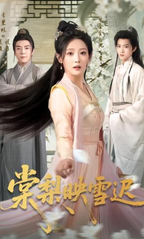 短剧《棠梨映雪迟》海报