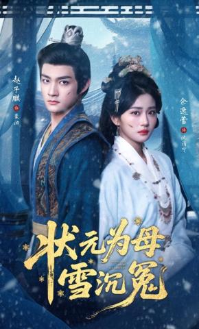 短剧《状元为母雪沉冤》海报