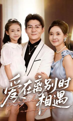 短剧《爱在离别时相遇》海报