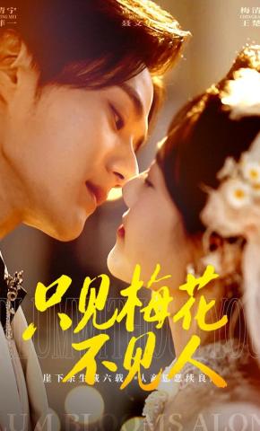 短剧只见梅花不见人海报