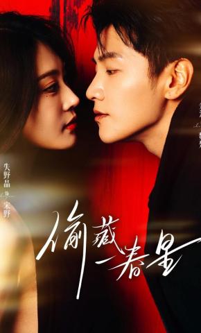 短剧《偷藏一春星》海报