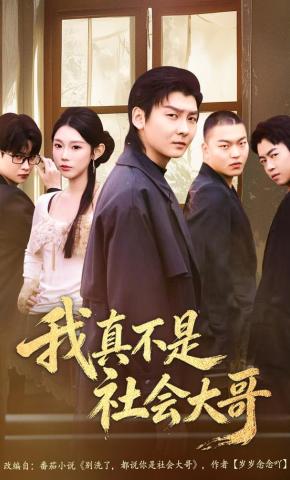 短剧《我真不是社会大哥》海报