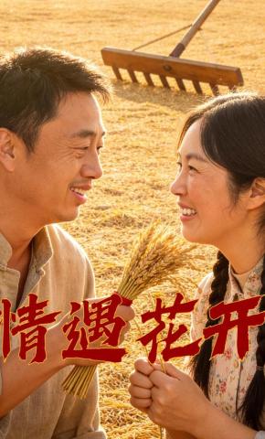 短剧情遇花开海报