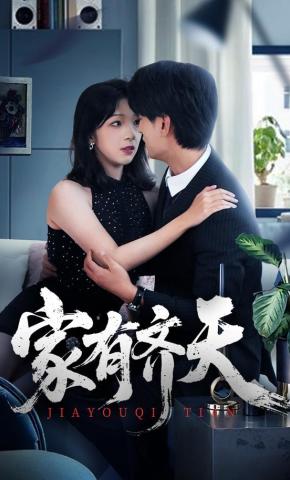 短剧《家有齐天》海报