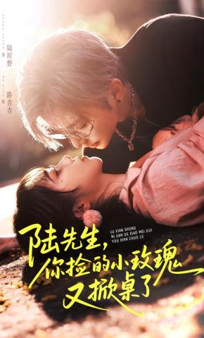 短剧《陆先生，你捡的小玫瑰又掀桌了》海报