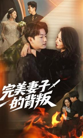 短剧《完美妻子的背叛》海报